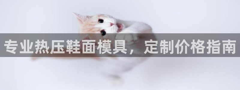 易倍单词软件