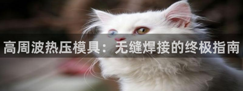 易倍申厂家：高周波热压模具：无缝焊接的终极指南