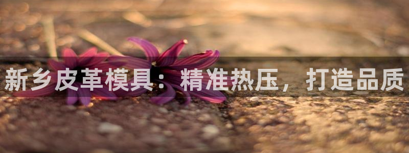 易倍申和易倍清的区别
