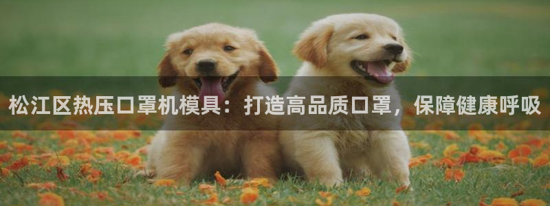 易倍申竞品