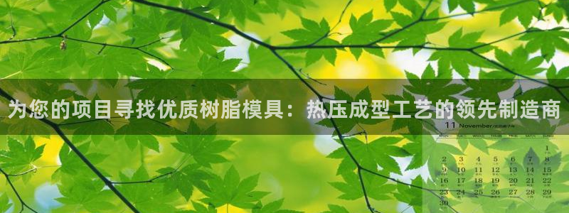 易倍申价格