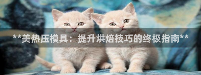 emc备份软件：**美热压模具：提升烘焙技巧的终极指南*
