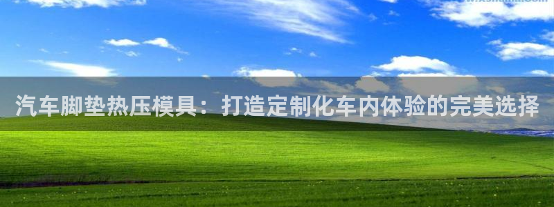 易倍纤酵素效果好吗：汽车脚垫热压模具：打造定制化车内体验