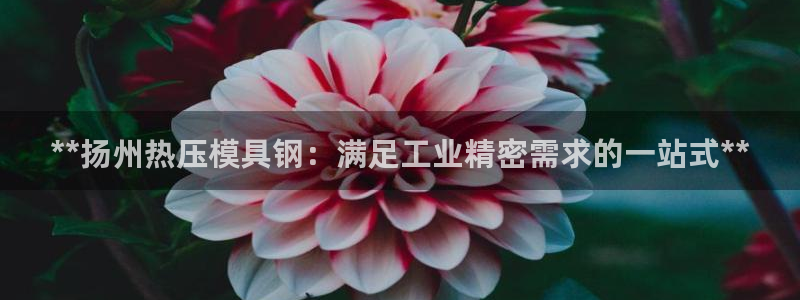 emc易倍全站官网：**扬州热压模具钢：满足工业精密需求