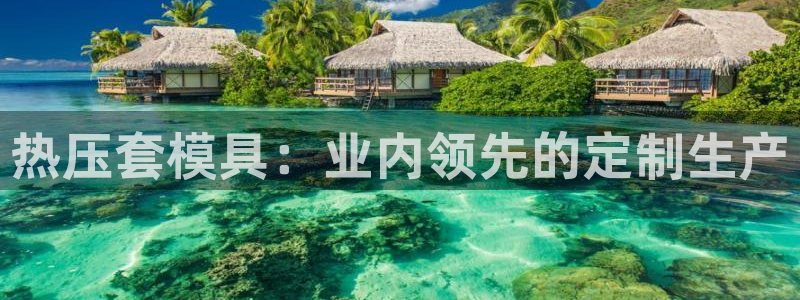 emc频率范围：热压套模具：业内领先的定制生产