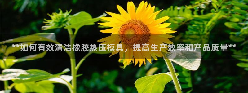 易倍app官网下载：**如何有效清洁橡胶热压模具，提高生