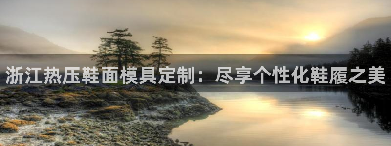 易倍网络技术有限公司招聘：浙江热压鞋面模具定制：尽享个性