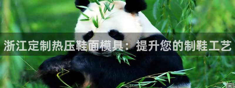 emc备份软件：浙江定制热压鞋面模具：提升您的制鞋工艺
