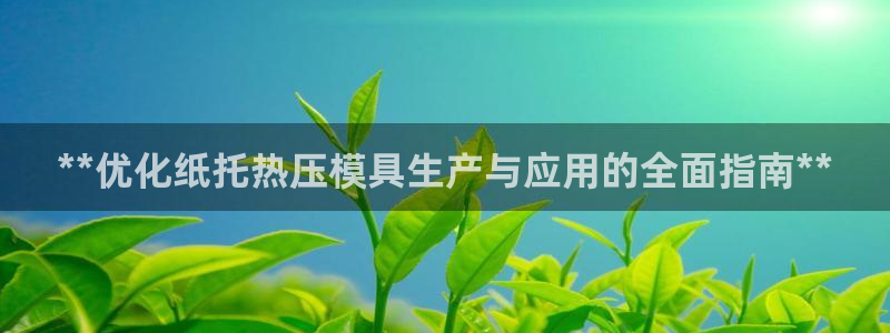 emc全站ag：**优化纸托热压模具生产与应用的全面指南