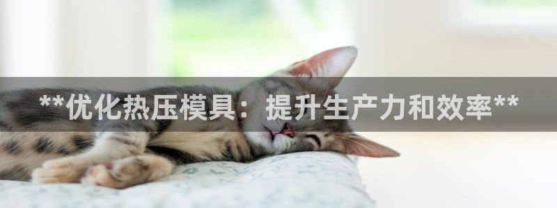 emc易倍老板：**优化热压模具：提升生产力和效率**