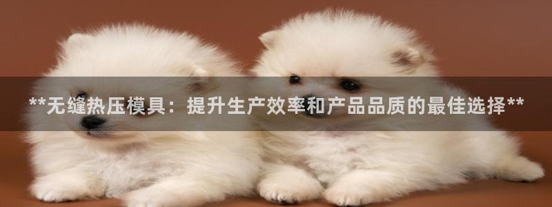 易倍全站下载：**无缝热压模具：提升生产效率和产品品质的