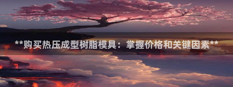 易倍单词app：**购买热压成型树脂模具：掌握价格和关键