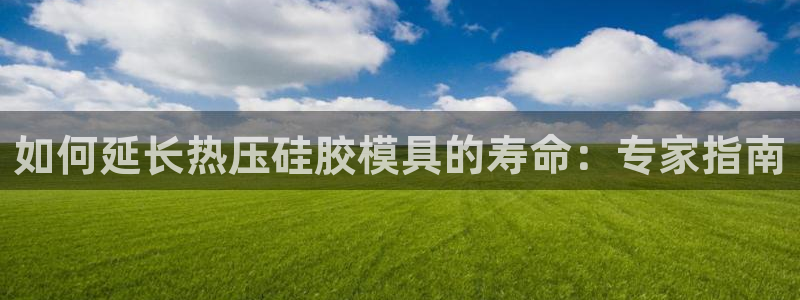 EMC易倍：如何延长热压硅胶模具的寿命：专家指南