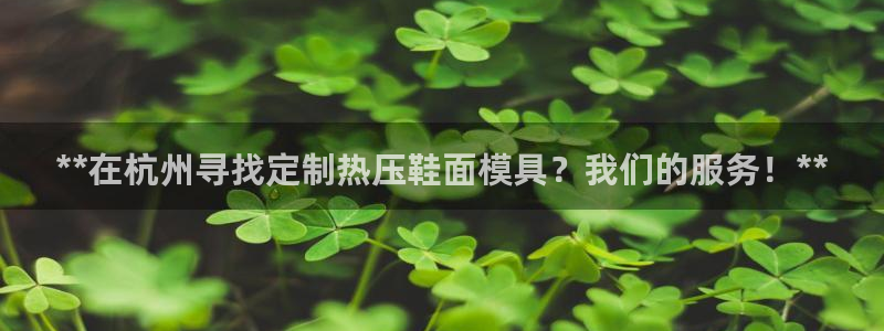 EMC易倍：**在杭州寻找定制热压鞋面模具？我们的服务！