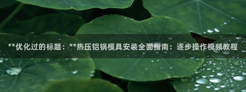 易倍英语官方网站登录：**优化过的标题：**热压铝锅模具