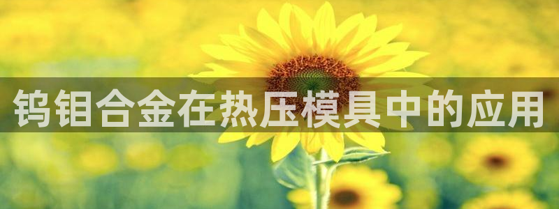 emc易倍全站官网
