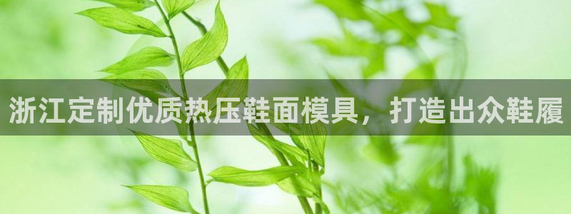 易倍纤能减肥吗：浙江定制优质热压鞋面模具，打造出众鞋履