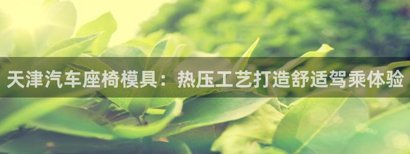 易倍纤酵素效果好吗