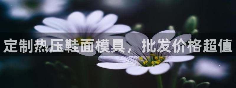 易倍电竞,有球必应：定制热压鞋面模具，批发价格超值