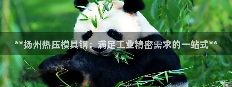 易倍申片：**扬州热压模具钢：满足工业精密需求的一站式*