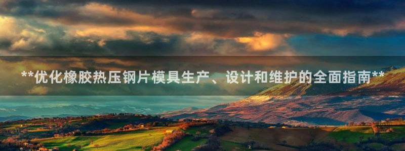 易倍申上市时间：**优化橡胶热压钢片模具生产、设计和维护