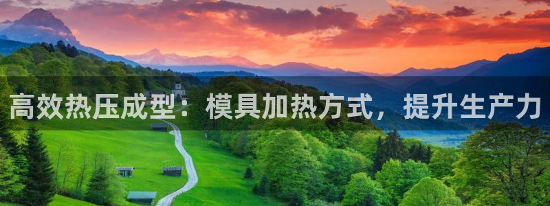 易倍申服用方法：高效热压成型：模具加热方式，提升生产力