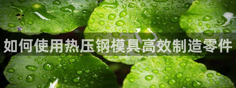 易倍申怎么样