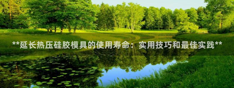 四川易倍易企业管理有限公司：**延长热压硅胶模具的使用寿