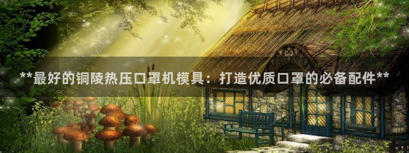 易倍易趣网：**最好的铜陵热压口罩机模具：打造优质口罩的