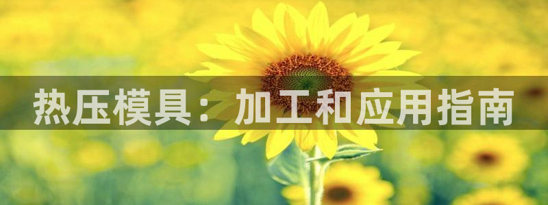 易倍下载地址