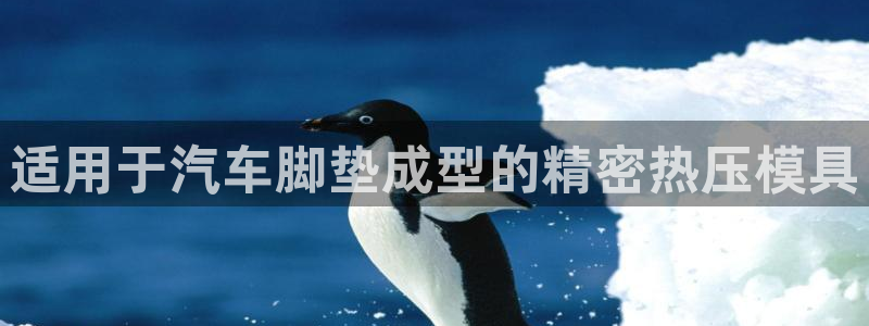 emc低频不过：适用于汽车脚垫成型的精密热压模具