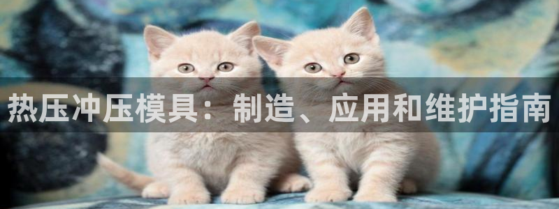 emc易倍官网首页进入