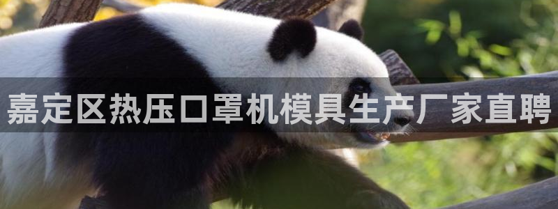易倍申片的功效与作用