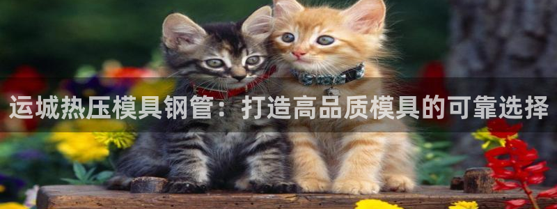 emc易倍官方平台