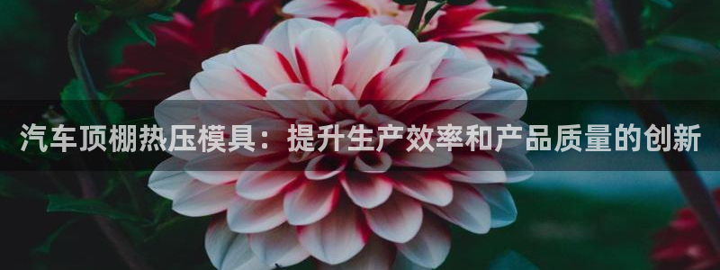 易倍单词app：汽车顶棚热压模具：提升生产效率和产品质量