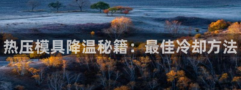 易倍纤谷物粉效果好吗：热压模具降温秘籍：最佳冷却方法
