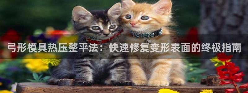 易倍单词app