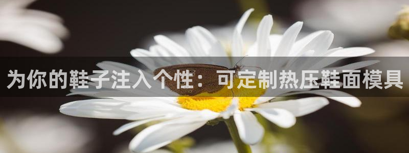 易倍申医保报销