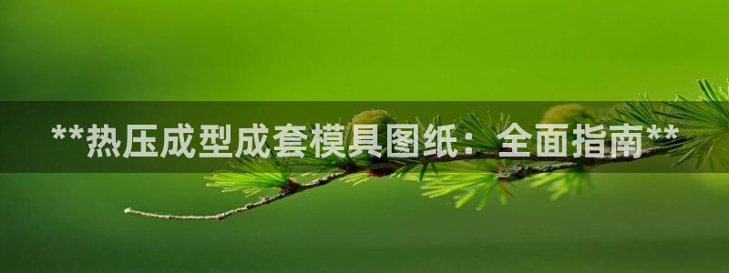 易倍申竞品：**热压成型成套模具图纸：全面指南**