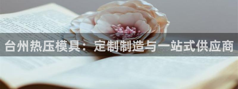 易倍电竞,有球必应：台州热压模具：定制制造与一站式供应商