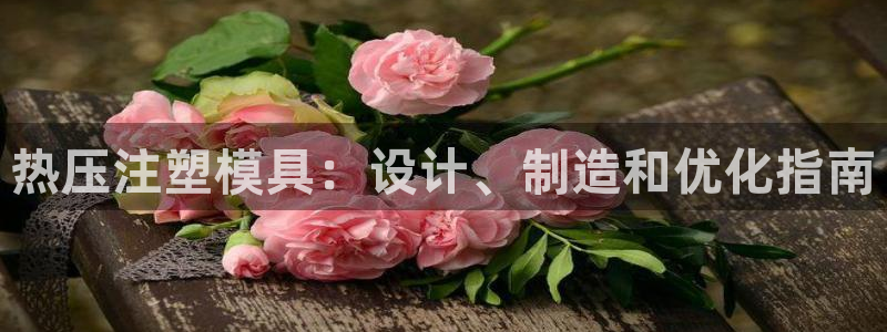emc易倍官网登录首页：热压注塑模具：设计、制造和优化指