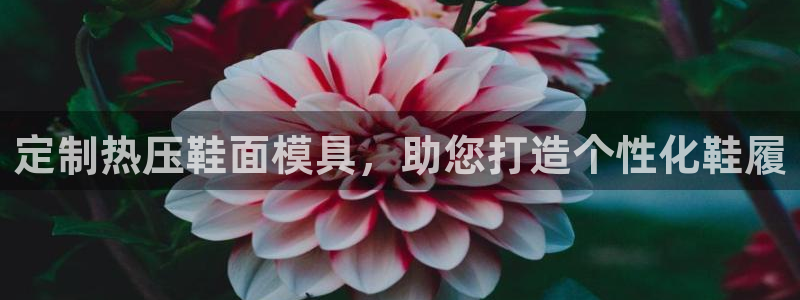 emc易倍全站官网