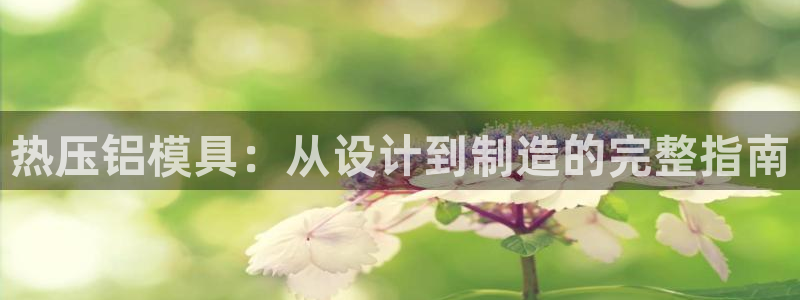 易倍app官网下载