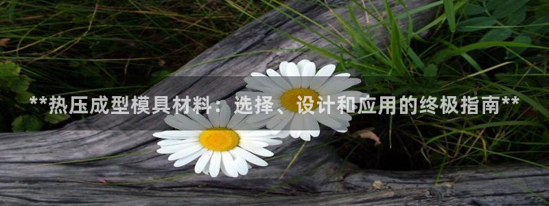 易倍emc安全吗：**热压成型模具材料：选择、设计和应用