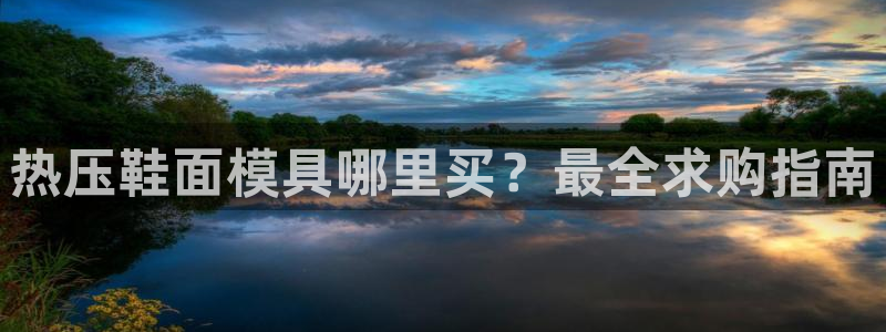 易倍网络技术有限公司官网：热压鞋面模具哪里买？最全求购指