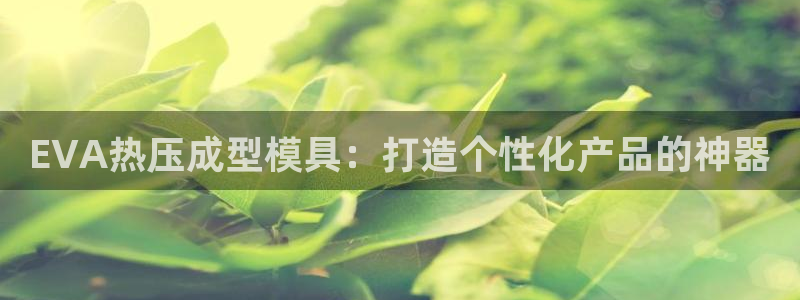 上海易倍投资有限公司