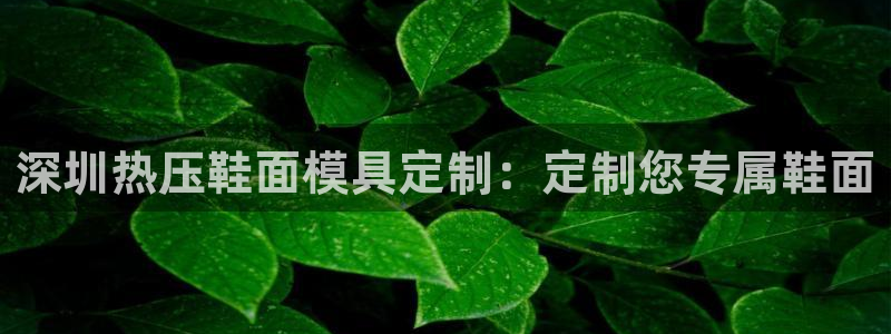 易倍纤酵素效果好吗