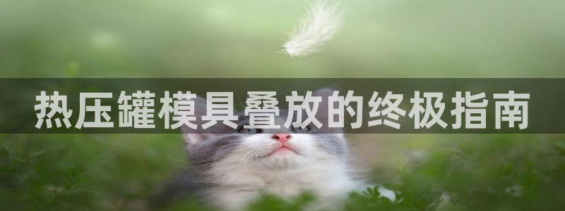 易倍单词官方网站登录