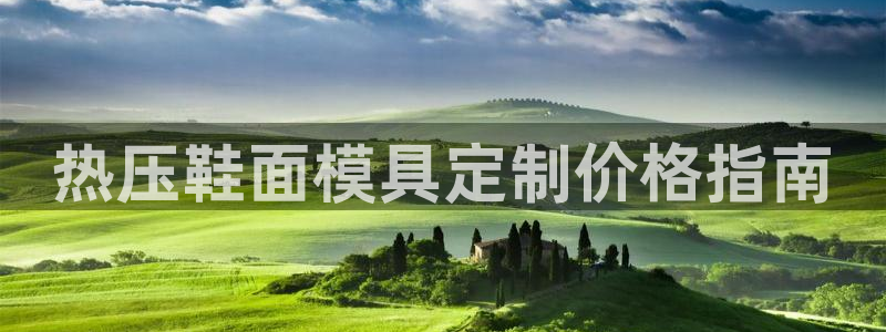 EMC易倍官方平台：热压鞋面模具定制价格指南