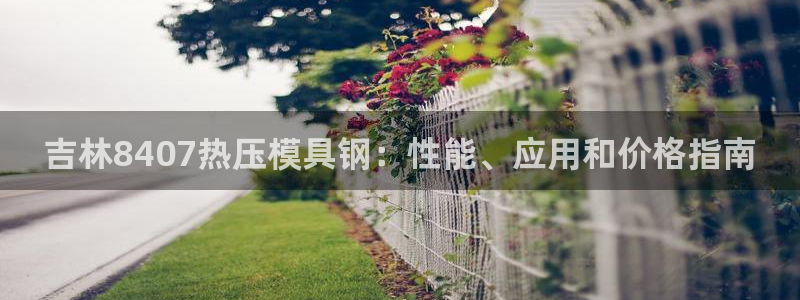 易倍emc全站：吉林8407热压模具钢：性能、应用和价格